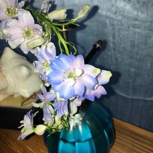 Meet your Posher, Chiara